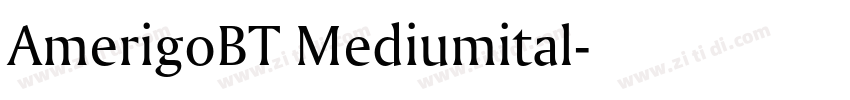 AmerigoBT Mediumital字体转换